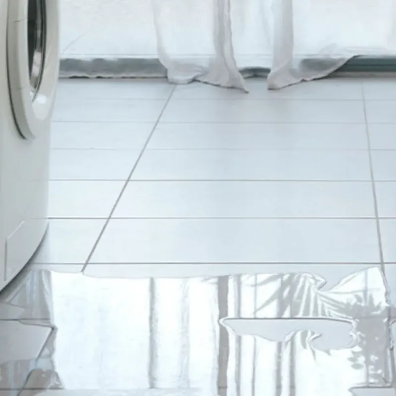 Appliance Leak Cleanup in Roberts, WI