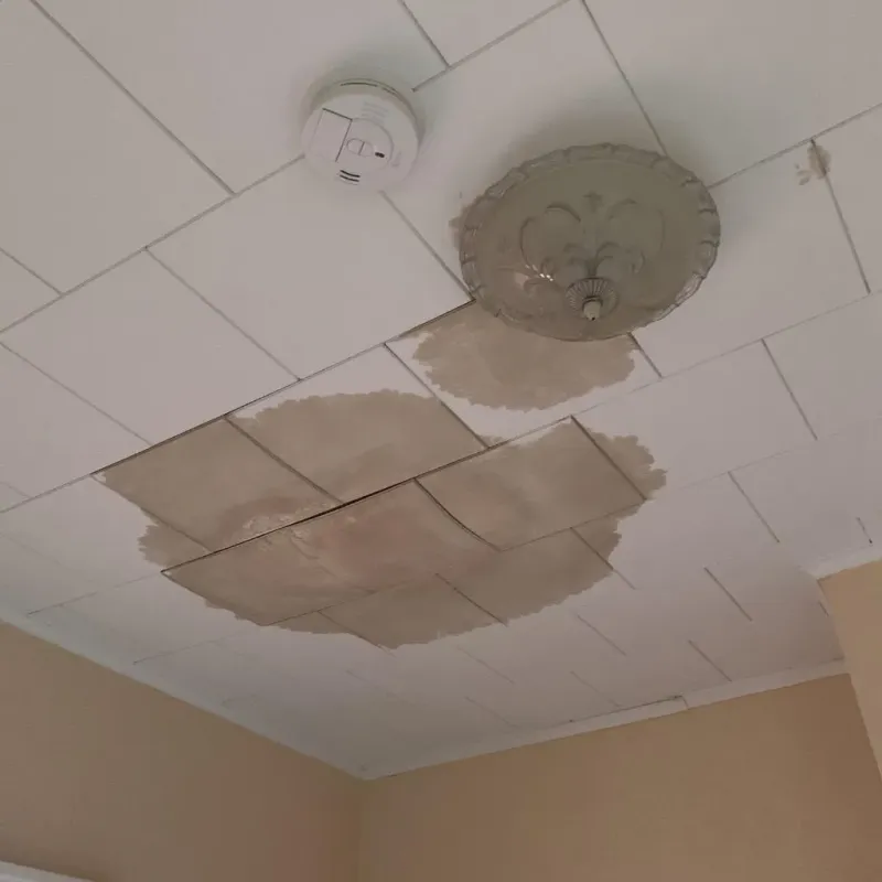 Ceiling Water Damage Repair in Roberts, WI