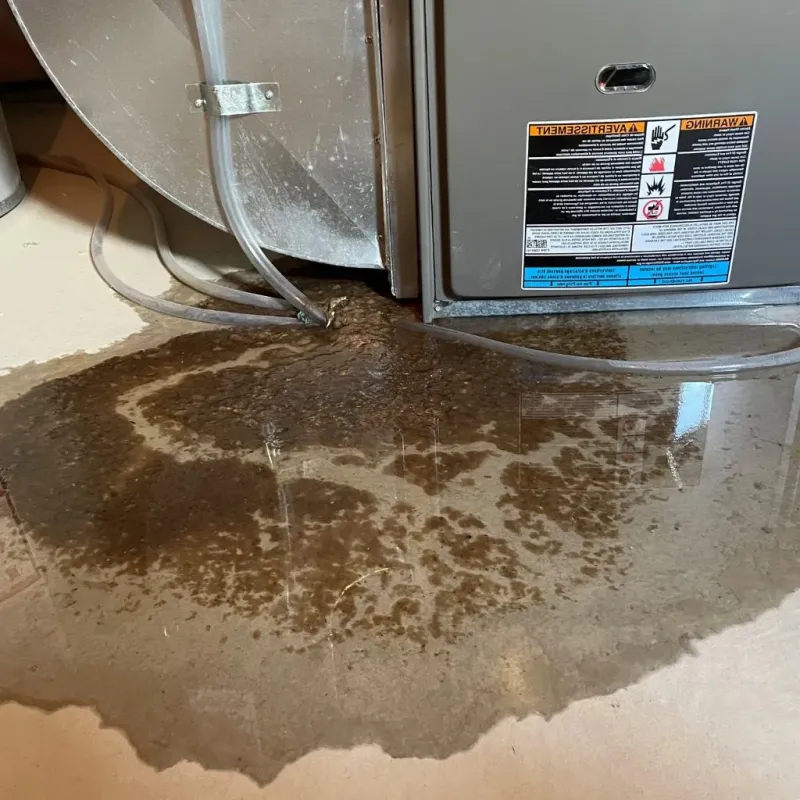 Pipe Burst and Leak Restoration in Roberts, WI