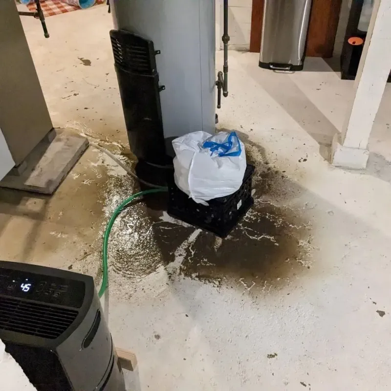 Sewage Backup Cleanup Service in Roberts, WI